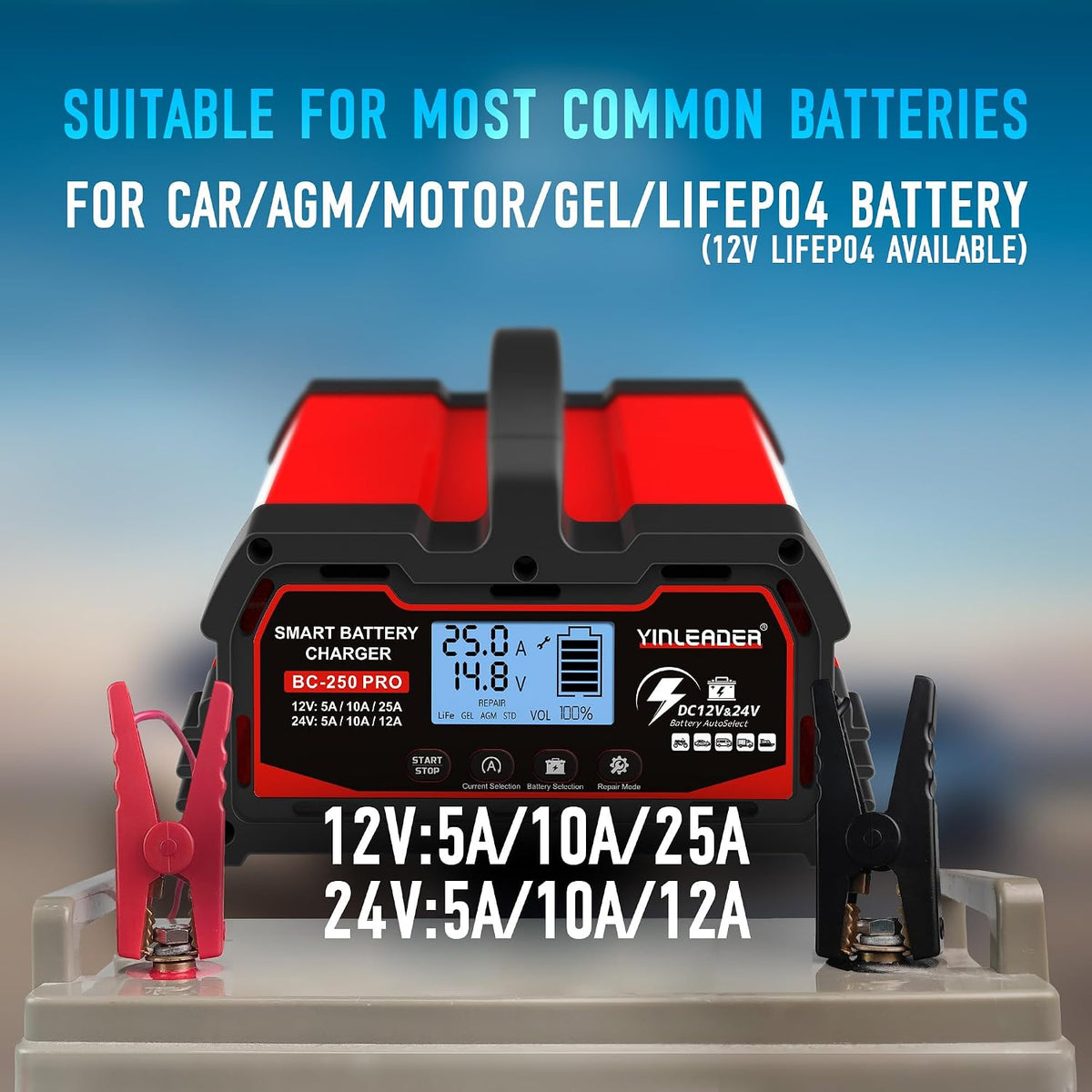 Yinleader 25A Car Battery Charger 12V/24V Intelligent Smart Trickle Charger with LCD Display