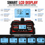 Yinleader 30A Battery Charger 12V/24V Lead Acid Smart Battery Charger with 12V LiFePO4 Trickle Charging